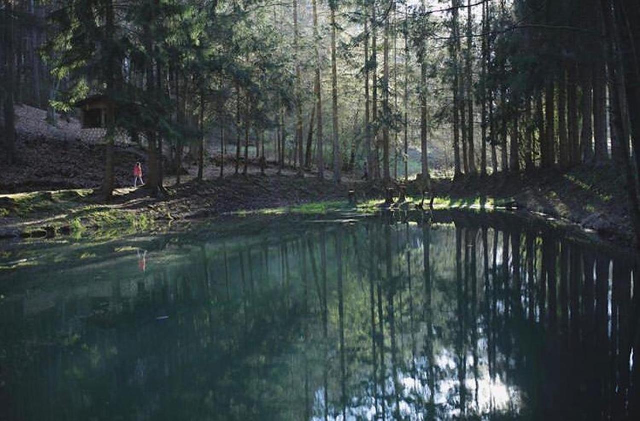 Ferienhaus "Schmetterling" Am See Im Bergland Kirchheim  Buitenkant foto